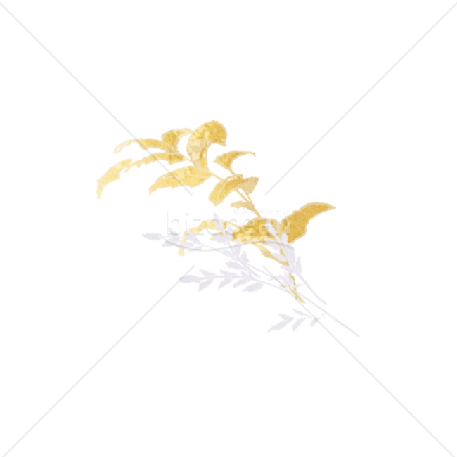 「イラスト」草木