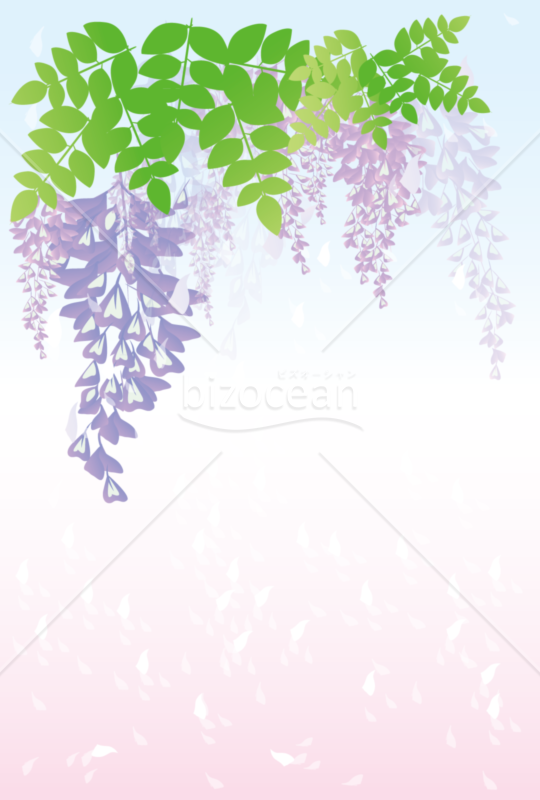 メッセージカード＿藤
