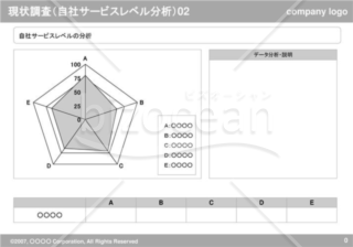 現状調査（自社サービスレベル分析）02（Gray）