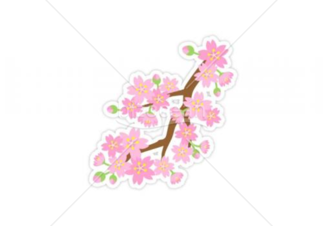 さくらの枝