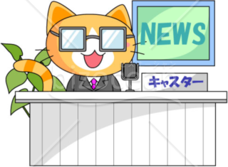 猫～ニュース