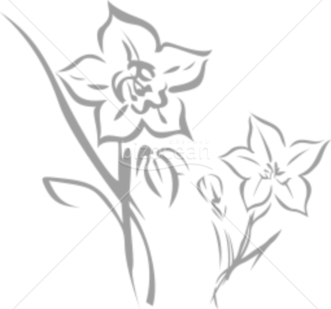 喪中はがきで使える水仙のイラスト素材