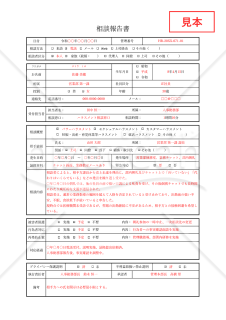 相談報告書・Excel【見本付き】