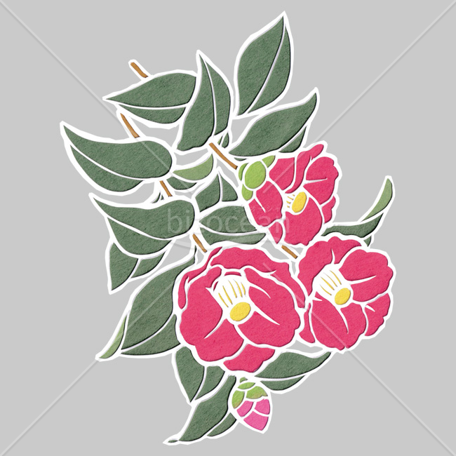 【2026年】「イラスト」和紙の質感で描かれたピンク色の椿