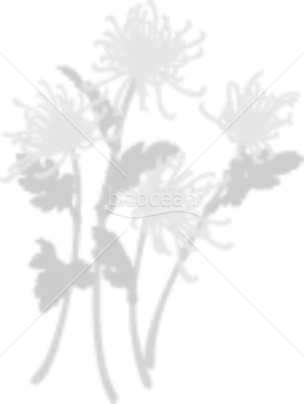 厚物菊の喪中イラスト（モノクロ）