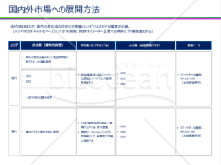 国内外市場への展開方法