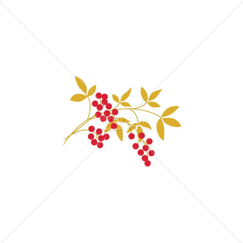 「イラスト」南天
