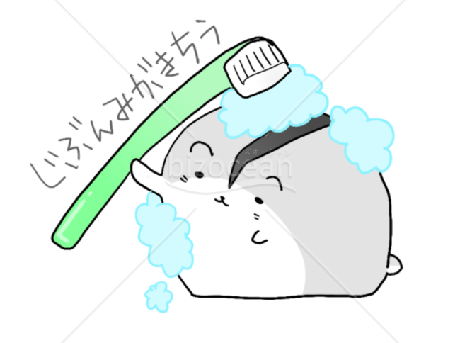 じぶんみがき中