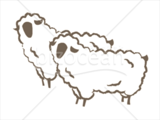 シンプルなタッチの2匹の羊イラスト