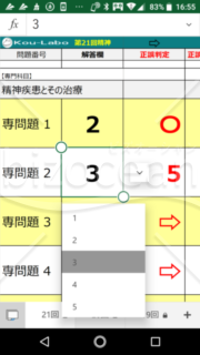 2020精神保健福祉士過去問解答用紙ート(3年分)_自動採点・正解率表示機能付き