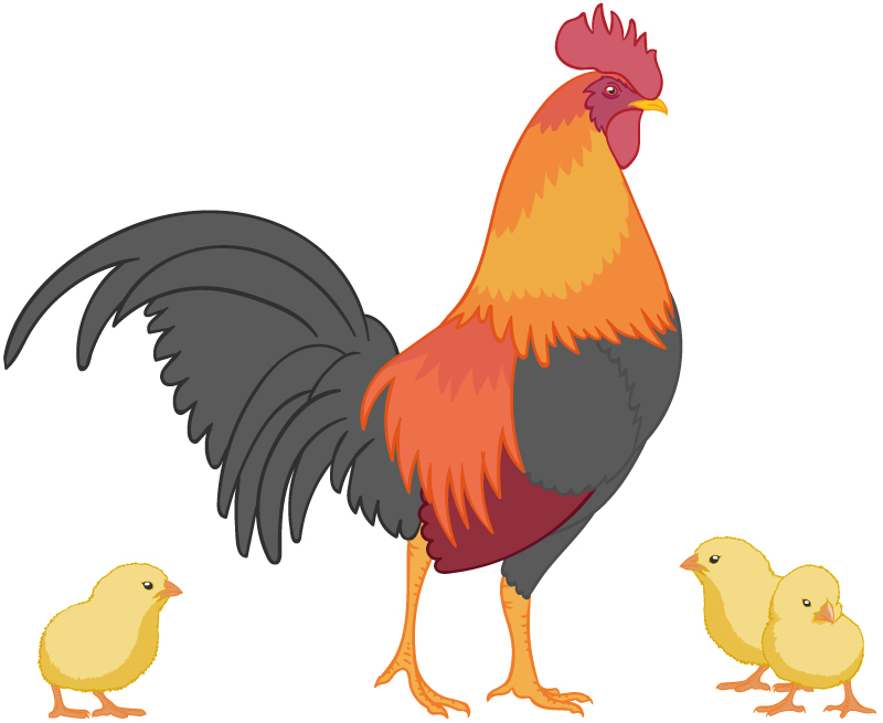 3匹のひよこがかわいらしいイラスト Bizocean ビズオーシャン 3匹のひよこがかわいらしいイラスト Bizocean ビズオーシャン