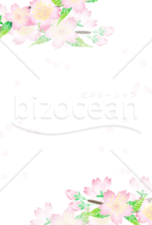 ポストカードサイズの桜の背景素材