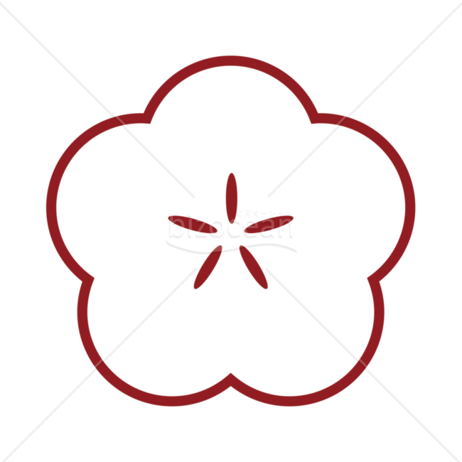 白い梅のイラスト素材