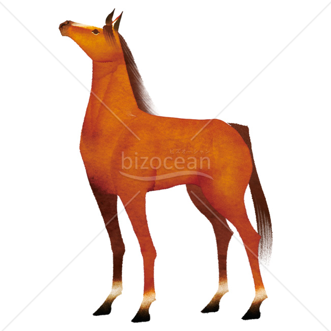 【2026年】「イラスト」顔を上げ遠くを見つめる茶色い馬