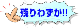 残りわずか！【12POT❗️札付き❗️ポットのまま配送❗️❗️】★の