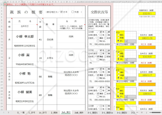 帰化900-XL_帰化許可申請用書式ALL＜入力支援付き＞