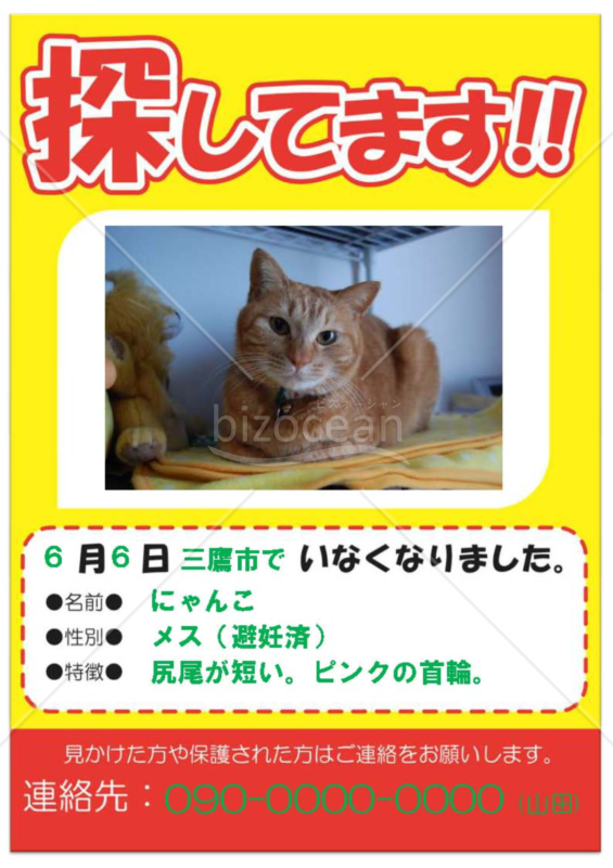 赤の見出しが目立つペット「探しています」の貼り紙/張り紙