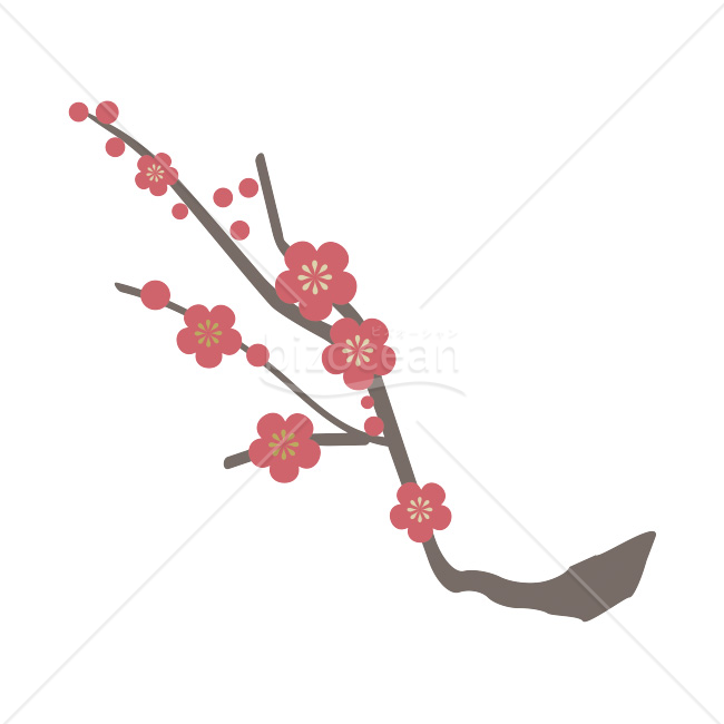 【2026年】「イラスト」落ち着いた色合いで描かれた紅梅の枝