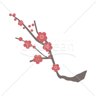 【2026年】「イラスト」落ち着いた色合いで描かれた紅梅の枝