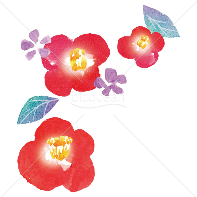 【2026年】「イラスト」水彩手描きタッチの華やかな赤い椿