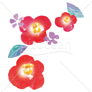 【2026年】「イラスト」水彩手描きタッチの華やかな赤い椿