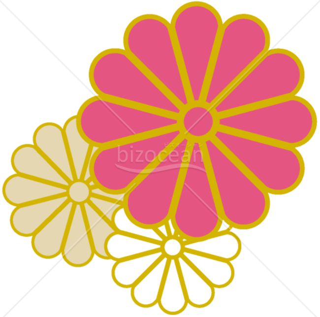【イラスト】菊01
