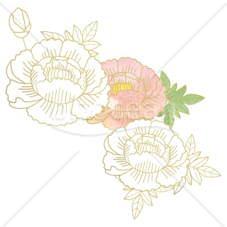 【2026年】「イラスト」金色の線画で描いた牡丹と水彩のアクセント