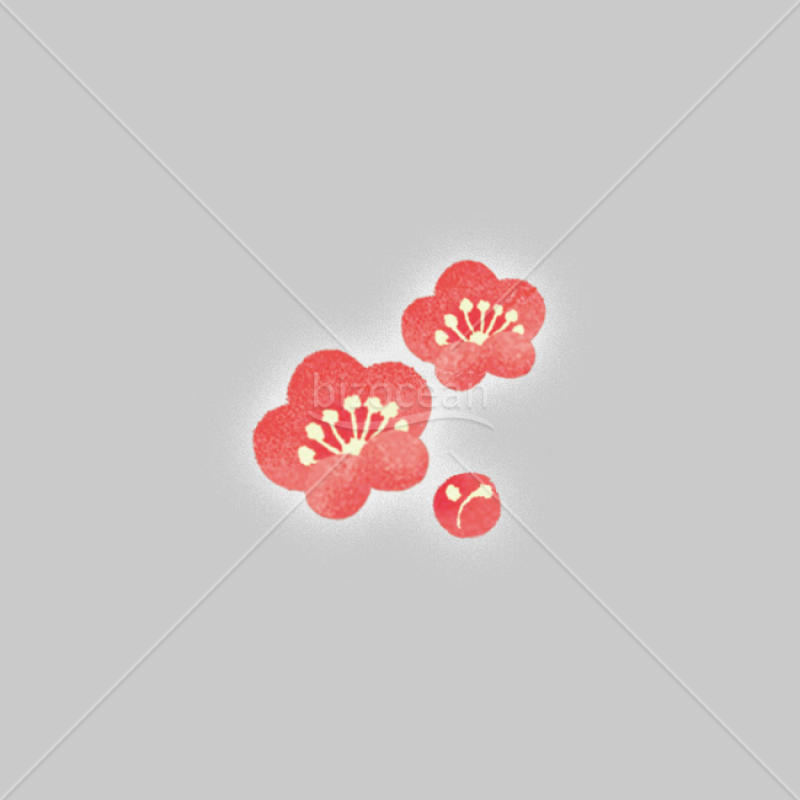 【2025年】「イラスト」梅の花