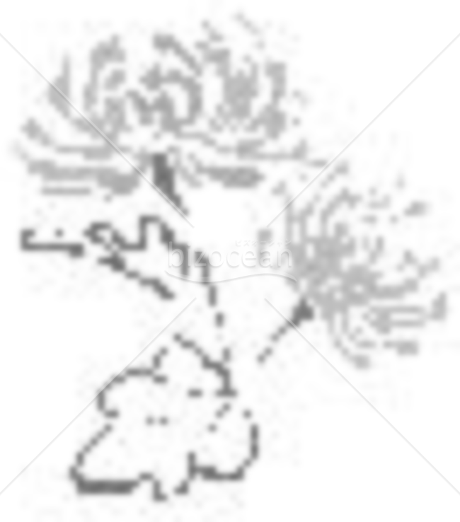 ２輪の菊の花の喪中イラスト（モノクロ）