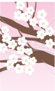 桜の木と花のイラスト