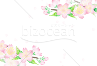 ポストカードサイズのシンプルな桜の背景素材