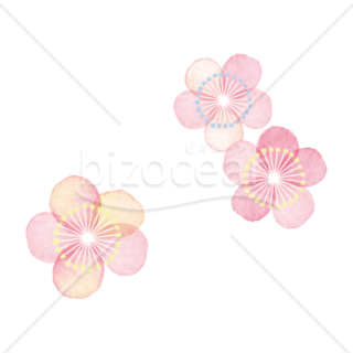 【イラスト】淡い水彩で描かれた梅の花04