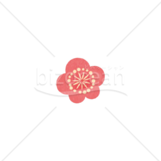 「イラスト」梅の花　パーツ　ピンク