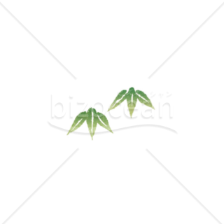 「イラスト」竹の葉