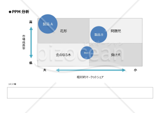 PPM分析（バブル）・Word