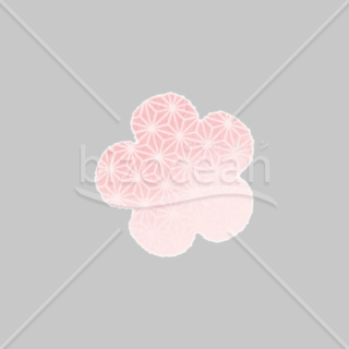 「イラスト」梅の花　柄入　ピンク　