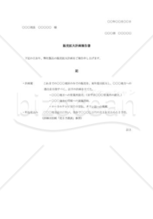 販売拡大計画報告書