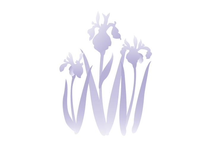 あやめのシルエットの喪中イラスト カラー Bizocean ビズオーシャン