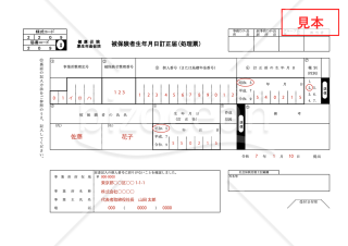 【様式改定対応】健康保険・厚生年金保険 被保険者生年月日訂正届【見本付き】