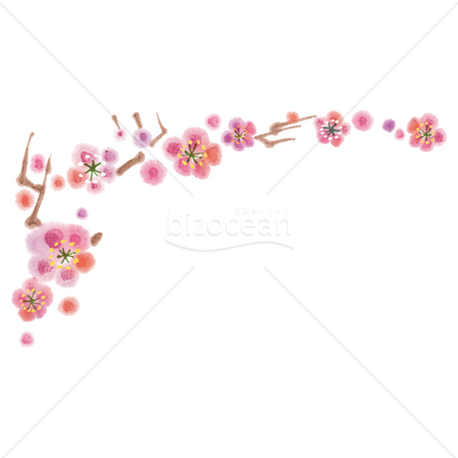 「イラスト」やわらかいタッチの梅の花01