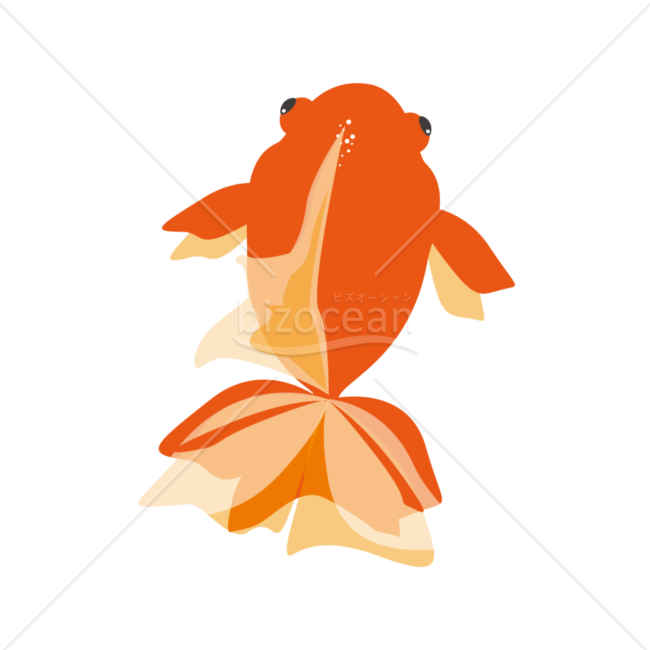 赤い金魚のイラスト素材