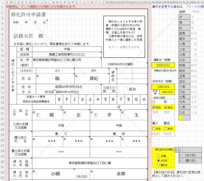 帰化900-XL_帰化許可申請用書式ALL＜入力支援付き＞｜bizocean（ビズオーシャン）