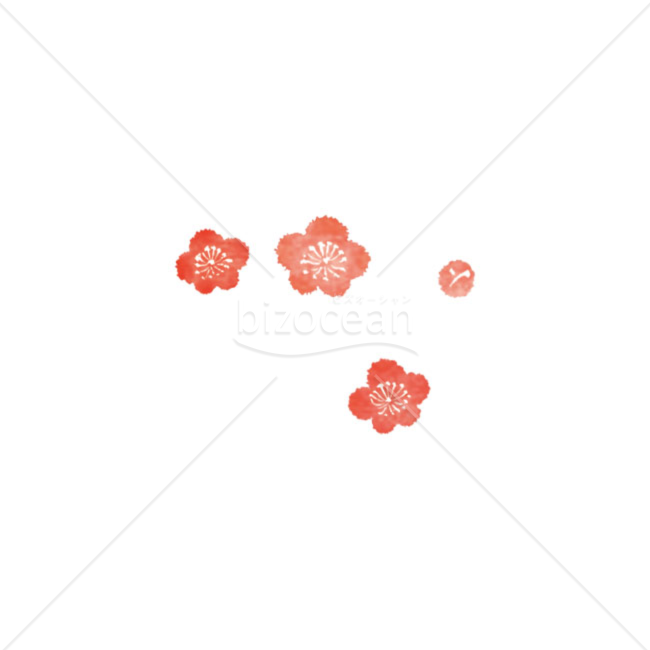 「イラスト」複数の梅の花　ピンク　