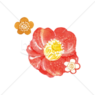 【2026年】「イラスト」水彩タッチの赤い椿と梅の花