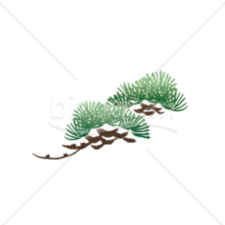「イラスト」松の木